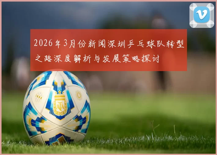 2026年3月份新闻深圳乒乓球队转型之路深度解析与发展策略探讨